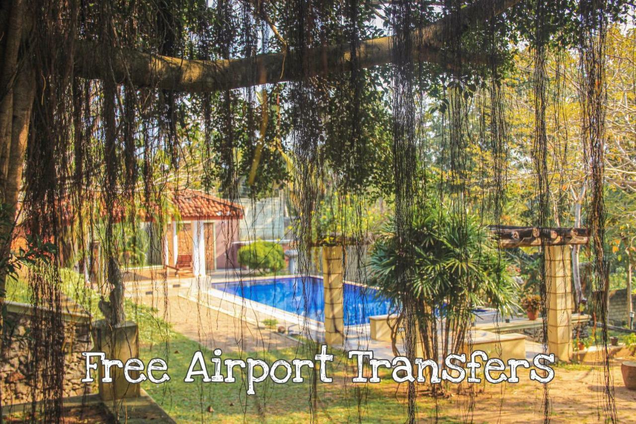 Airport Green Olive Villa Katunayaka Eksteriør bilde
